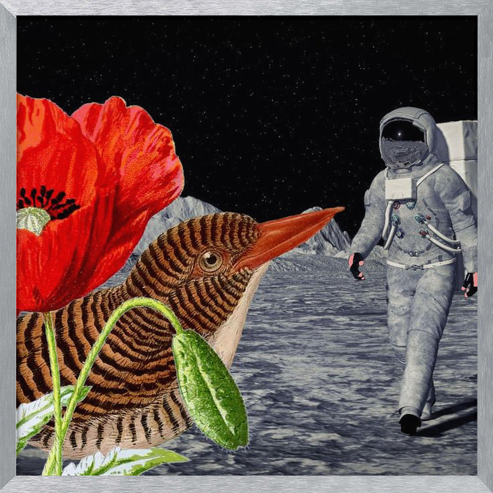 Bird On the Moon Astronaut - Collage Poster